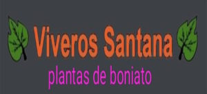 viveros-santana